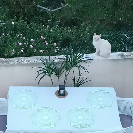 Διαμέρισμα Rising Sun